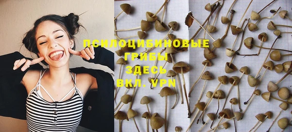 винт Мегион
