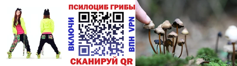 Галлюциногенные грибы MAGIC MUSHROOMS  Дятьково 